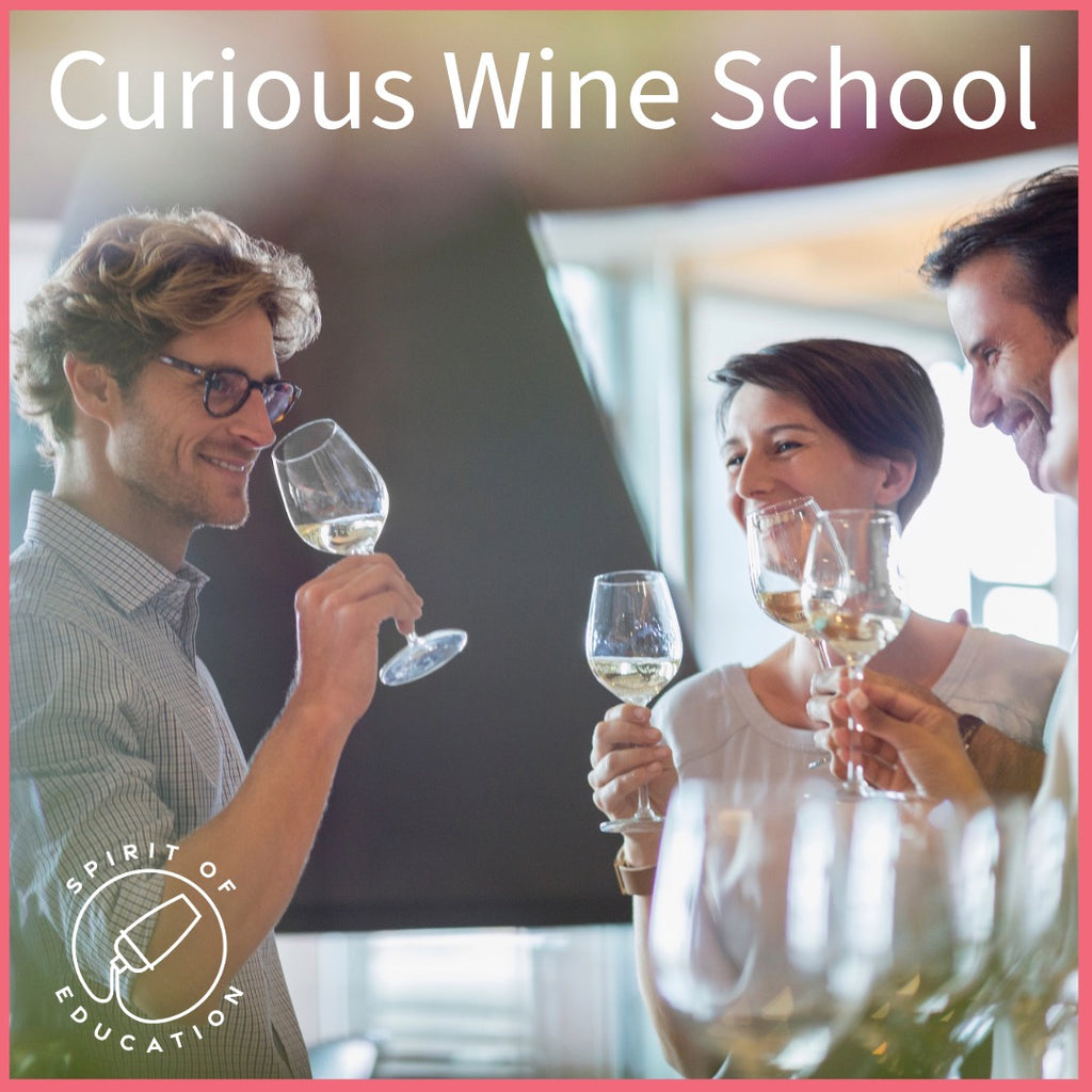 Curious Wine School